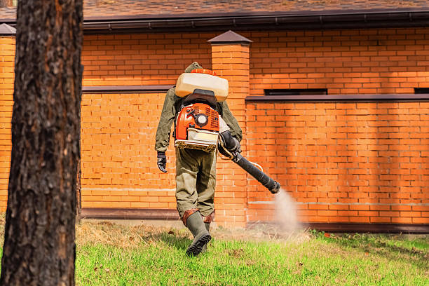 Trusted Cockroach Control service in Cottonwood, AZ - Nex Pest Control
